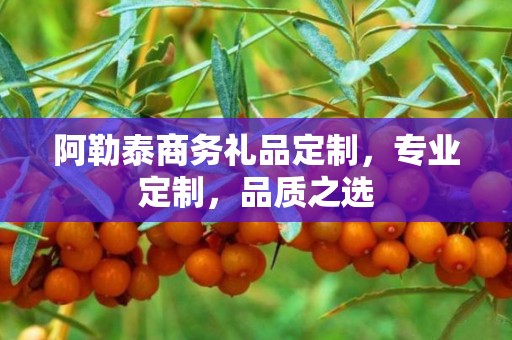 阿勒泰商务礼品定制，专业定制，品质之选