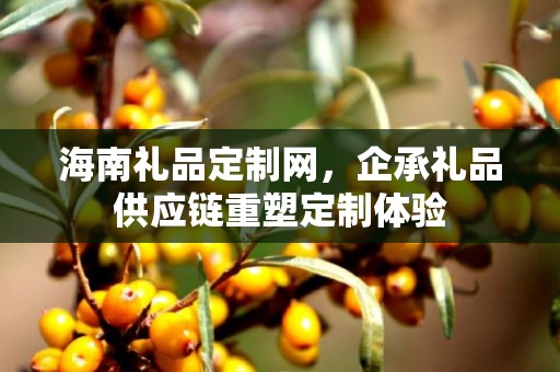 海南礼品定制网，企承礼品供应链重塑定制体验